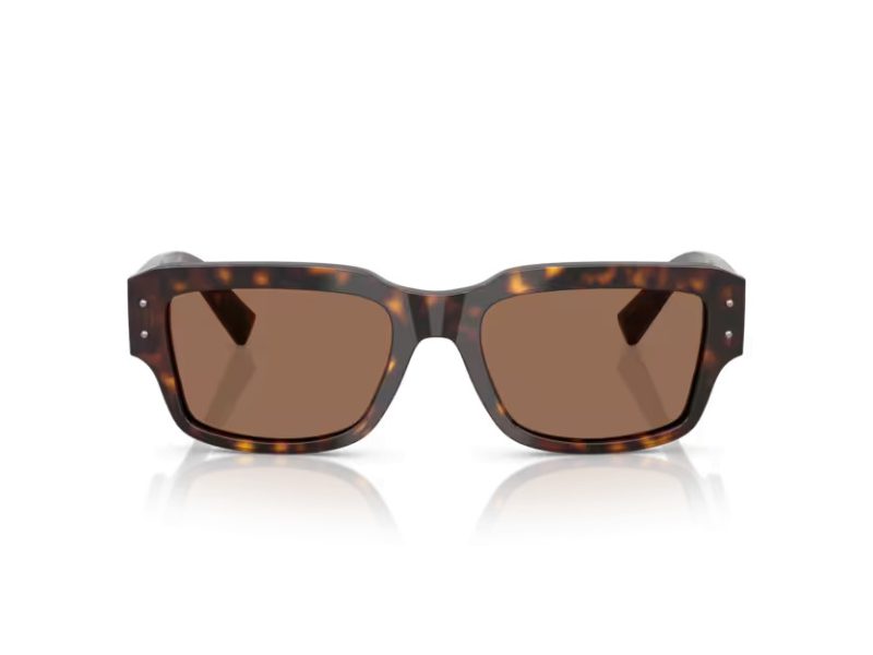 Dolce & Gabbana DG 4483 502/73 54 Men sunglasses