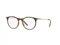 Dolce & Gabbana DG 5031 1935 51 Men glasses