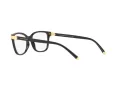 Dolce & Gabbana DG 5036 501 53 Women glasses