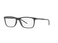 Dolce & Gabbana DG 5044 2525 55 Men glasses