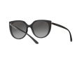 Dolce & Gabbana DG 6119 501/8G 54 Women sunglasses