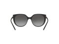 Dolce & Gabbana DG 6119 501/8G 54 Women sunglasses