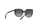 Dolce & Gabbana DG 6119 501/8G 54 Women sunglasses
