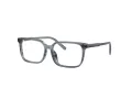 Dolce & Gabbana Kids DX 3003 3482 49 Children glasses