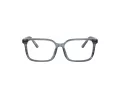 Dolce & Gabbana Kids DX 3003 3482 51 Children glasses