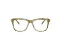 Dolce & Gabbana Kids DX 3356 3488 49 Children glasses