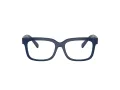 Dolce & Gabbana Kids DX 5002 3094 49 Children glasses