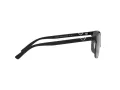 Emporio Armani EA 2134 300187 58 Men sunglasses