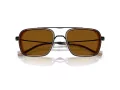 Emporio Armani EA 2162 300163 54 Men sunglasses