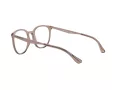 Emporio Armani EA 3168 5850 52 Women glasses