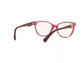 Emporio Armani EA 3172 5021 54 Women glasses