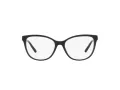 Emporio Armani EA 3190 5001 53 Women glasses