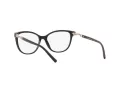 Emporio Armani EA 3190 5001 53 Women glasses