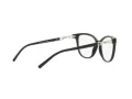 Emporio Armani EA 3190 5001 53 Women glasses