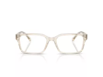 Emporio Armani EA 3244 6179 53 Men glasses