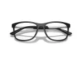 Emporio Armani EA 3247 5001 55 Men glasses