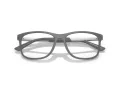 Emporio Armani EA 3247 6205 55 Men glasses