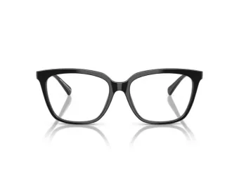 Emporio Armani EA 3248 5017 55 Women glasses