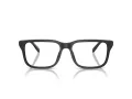 Emporio Armani EA 3250U 5017 56 Men glasses