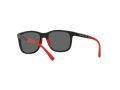 Emporio Armani EA 4184 500187 49 Men sunglasses