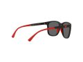 Emporio Armani EA 4184 500187 49 Men sunglasses