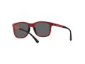 Emporio Armani EA 4184 562487 49 Men sunglasses