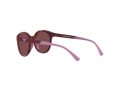 Emporio Armani EA 4185 5077D0 47 Women sunglasses