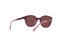 Emporio Armani EA 4185 5077D0 47 Women sunglasses