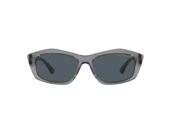 Emporio Armani EA 4187 502987 55 Women sunglasses