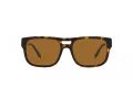 Emporio Armani EA 4197 587983 57 Men sunglasses