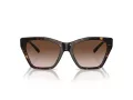Emporio Armani EA 4203U 502613 55 Women sunglasses