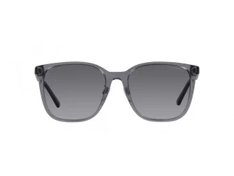 Emporio Armani EA 4206D 5029T3 57 Men sunglasses