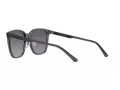 Emporio Armani EA 4206D 5029T3 57 Men sunglasses