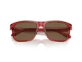 Emporio Armani EA 4208 605373 56 Men sunglasses