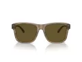 Emporio Armani EA 4208 605573 56 Men sunglasses