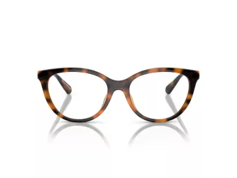 Emporio Armani EA 0EA4213U 50261W 53 glasses