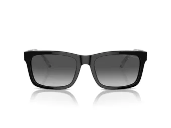Emporio Armani EA 4224 5017T3 57 Men sunglasses