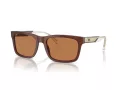 Emporio Armani EA 4224 609573 57 Men sunglasses