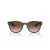 Emporio Armani EA 4225U 508813 53 Men sunglasses