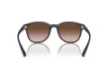 Emporio Armani EA 4225U 508813 53 Men sunglasses