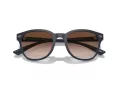 Emporio Armani EA 4225U 508813 53 Men sunglasses