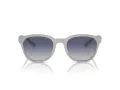 Emporio Armani EA 4225U 610087 53 Men sunglasses