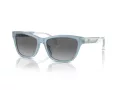 Emporio Armani EA 4227U 609611 56 Women sunglasses