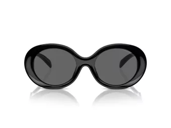 Emporio Armani EA 4231U 501787 53 Women sunglasses