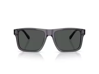 Emporio Armani EA 4232 610687 57 Men sunglasses