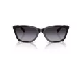 Emporio Armani EA 4238 50178G 54 Women sunglasses