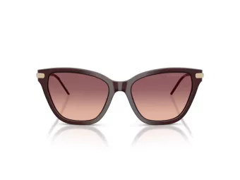 Emporio Armani EA 4251 62658D 54 Women sunglasses