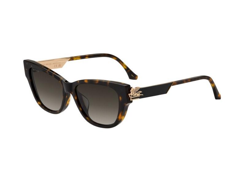 Etro ETRO 0063/F/S 086/86 55 Women sunglasses
