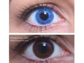 ColourVUE Basic Blue (2 lenses)