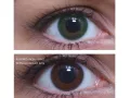 ColourVUE Basic Green (2 lenses)